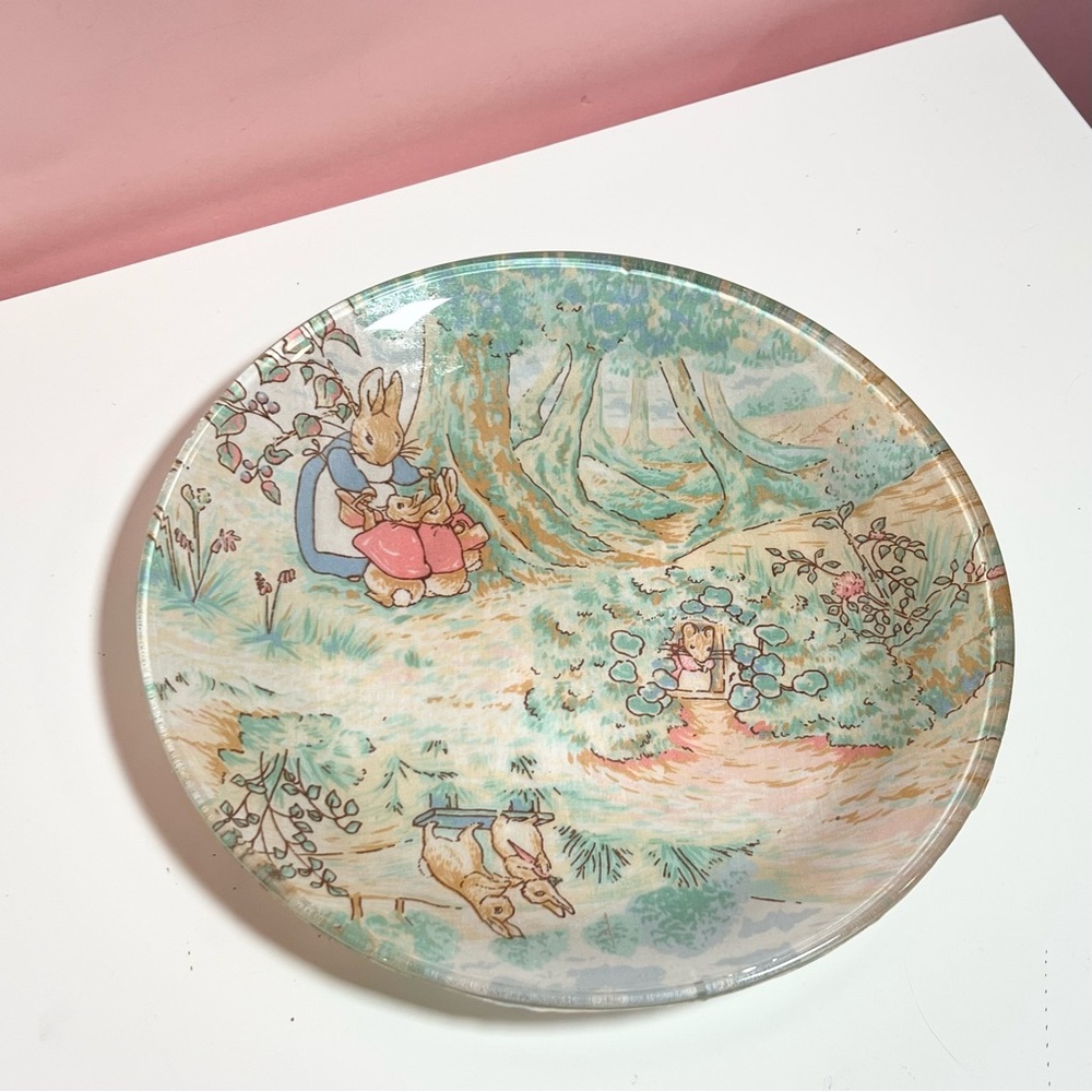 Vintage retro Peter rabbit Beatrix potter plate